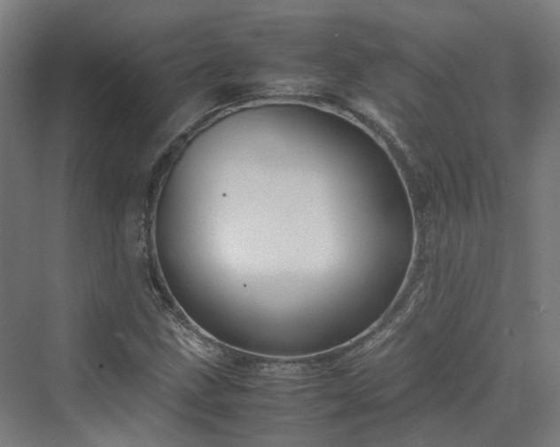 X0000070231211200606021338