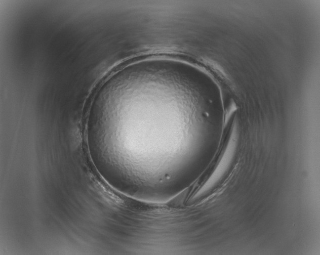 X0000070231212200606021338