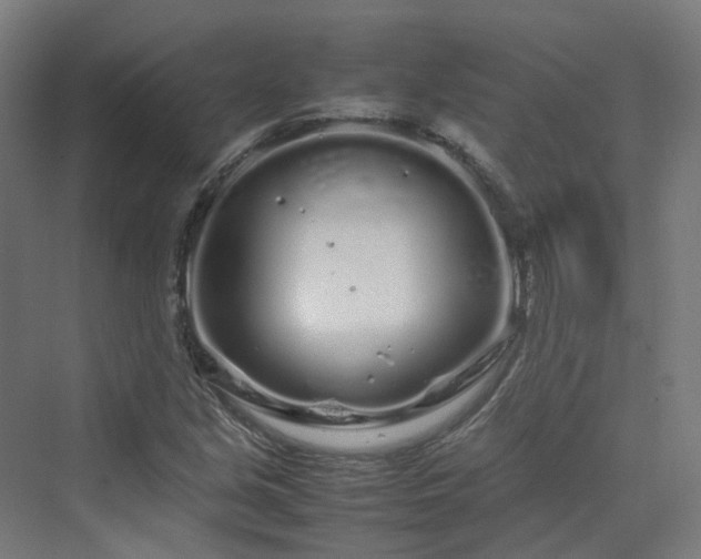 X0000070231213200606021338