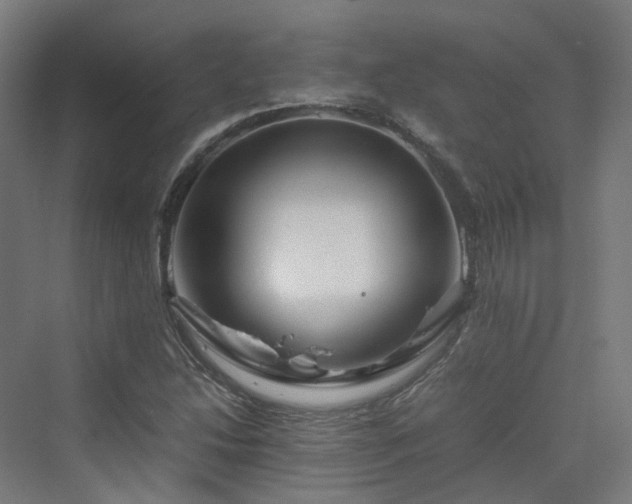 X0000070231214200606021338