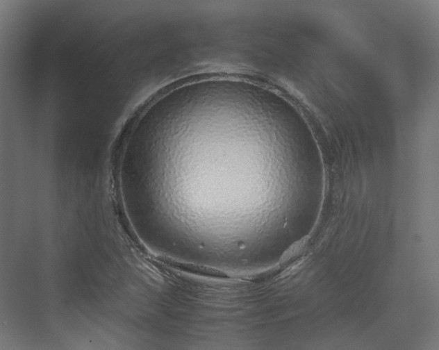 X0000070231215200606021338