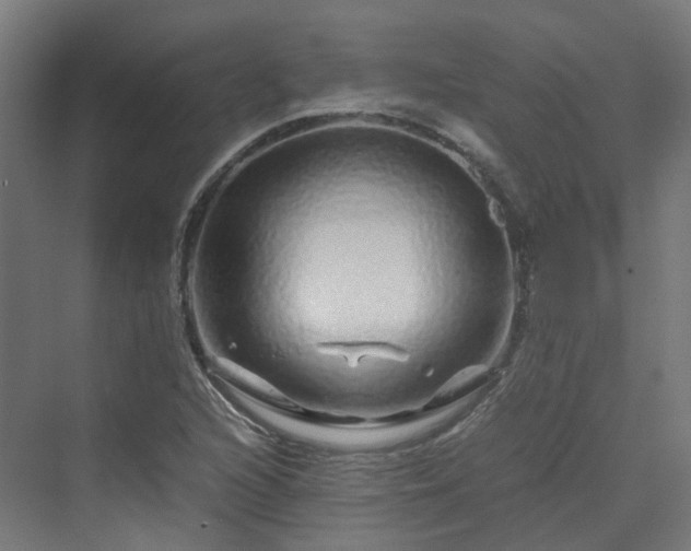 X0000070231216200606021338