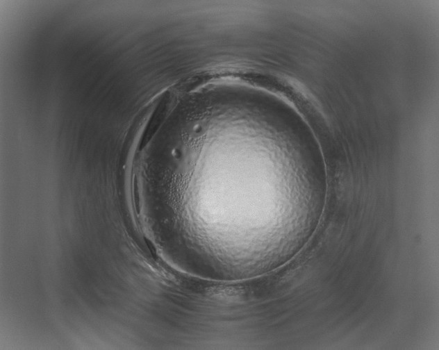 X0000070231217200606021338