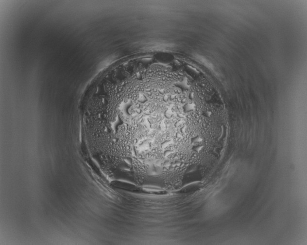 X0000070231219200606021338