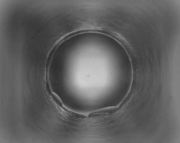 X0000070231220200606021338