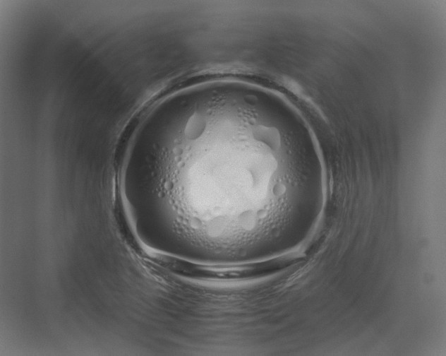 X0000070231221200606021338