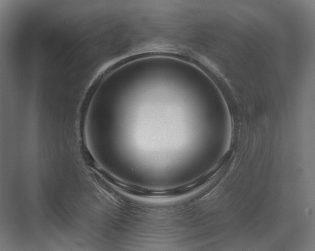 X0000070231222200606021339