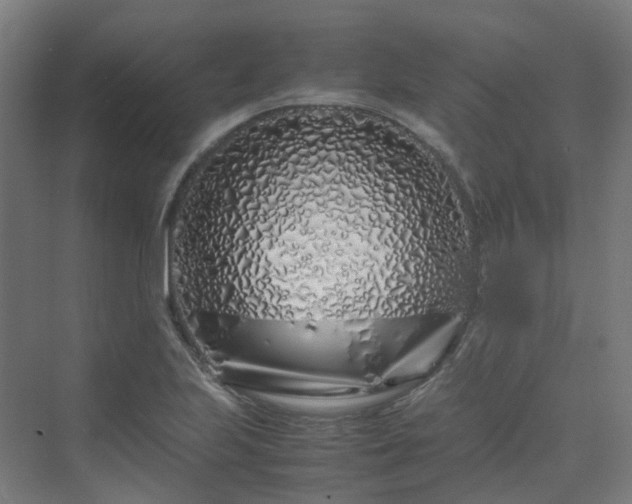 X0000070231223200606021339