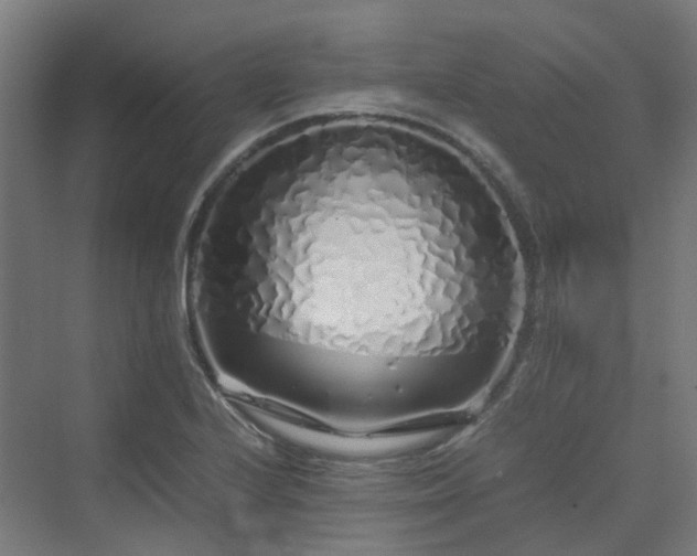 X0000070231224200606021339