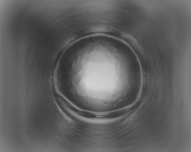 X0000070231225200606021339