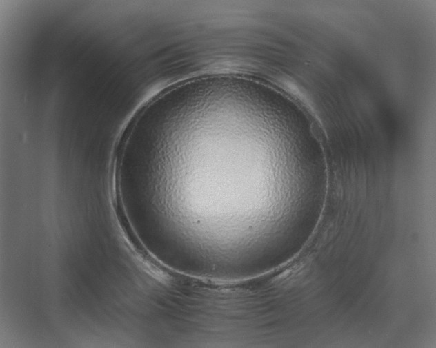 X0000070231227200606021339