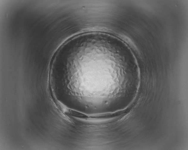 X0000070231228200606021339