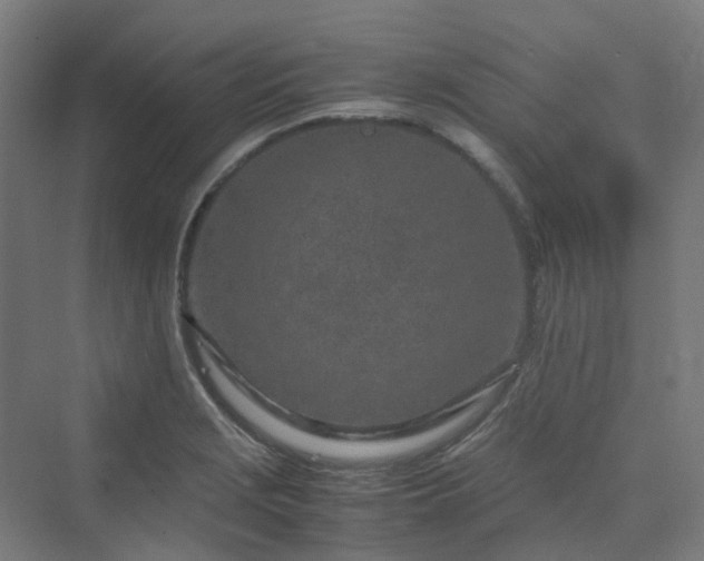 X0000070231229200606021339