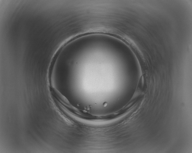 X0000070231230200606021339