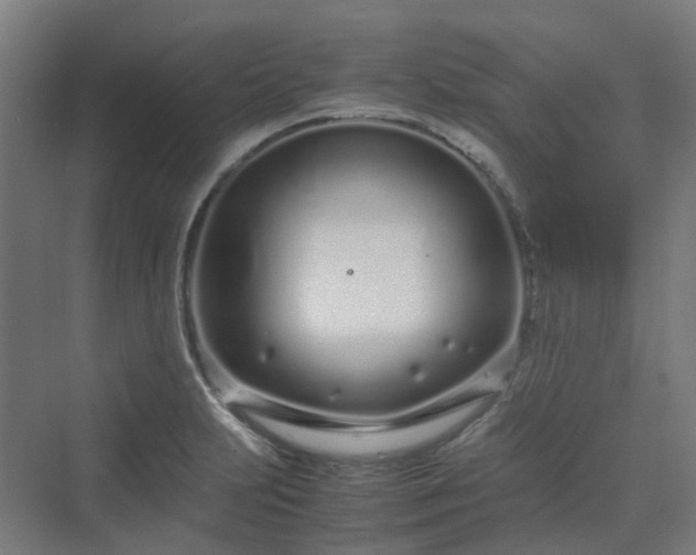 X0000070231231200606021339