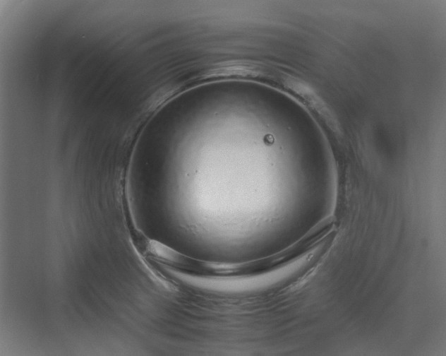 X0000070231233200606021339