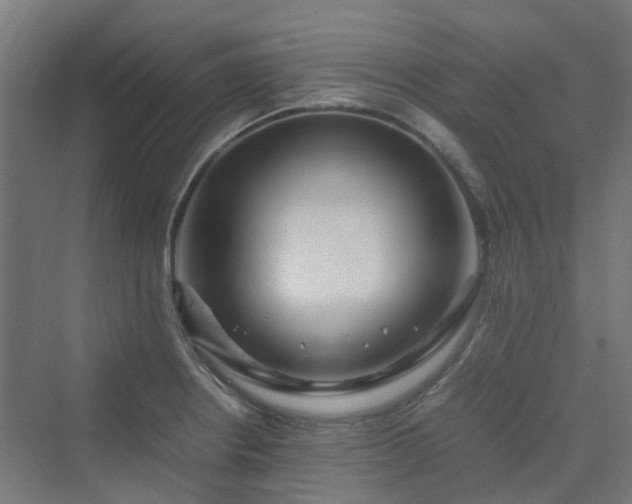 X0000070231234200606021339