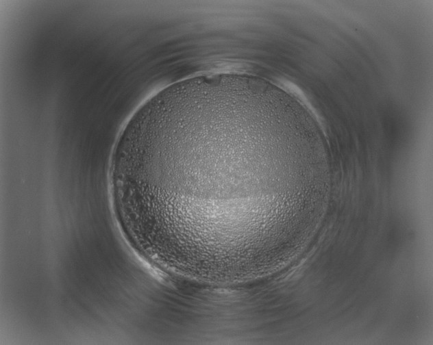 X0000070231235200606021339