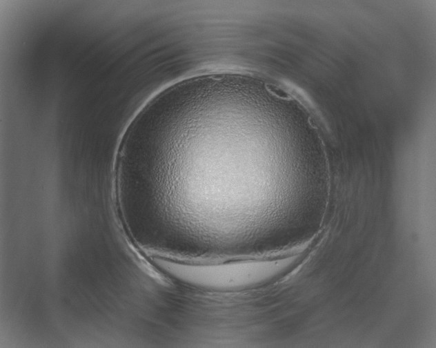 X0000070231236200606021339