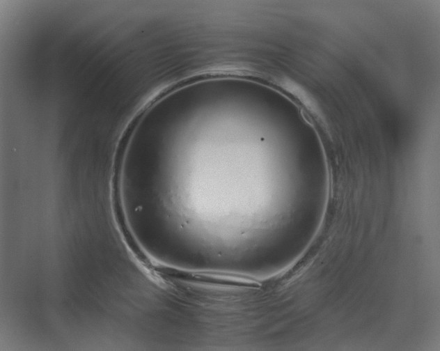 X0000070231237200606021339