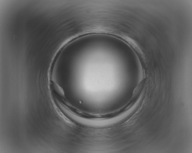 X0000070231238200606021339