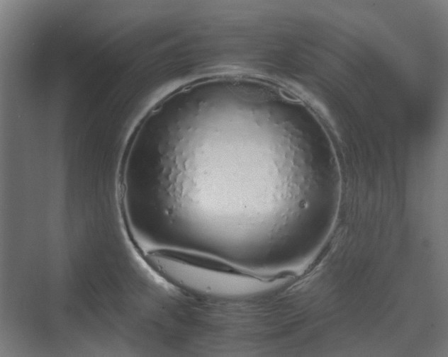 X0000070231239200606021339