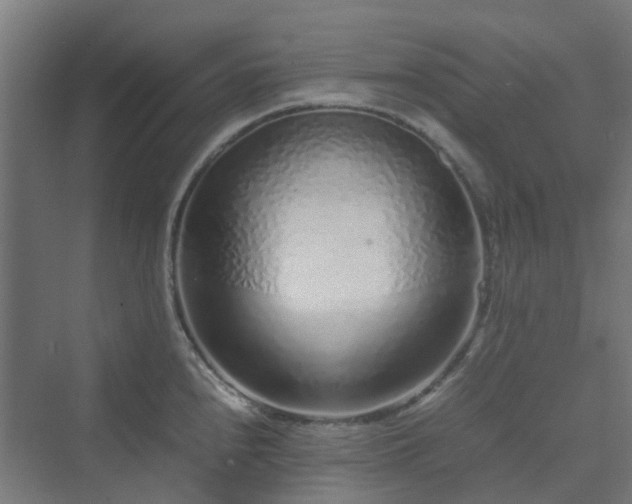 X0000070231240200606021339