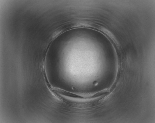 X0000070231241200606021339