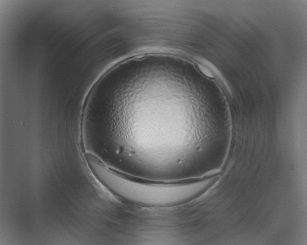 X0000070231244200606021339