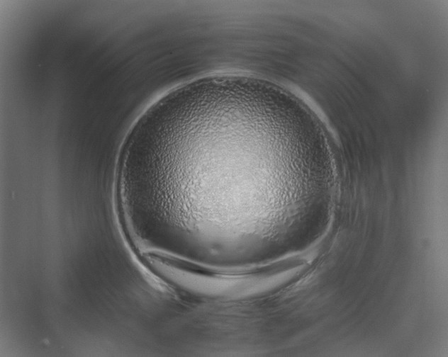 X0000070231245200606021339