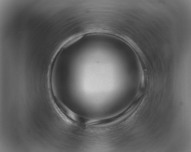 X0000070231246200606021339