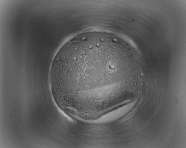 X0000070231247200606021339