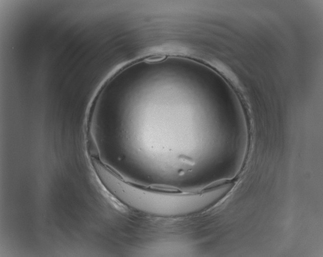 X0000070231248200606021339