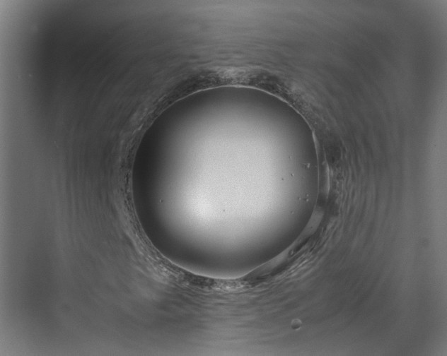 X0000070231249200606021338