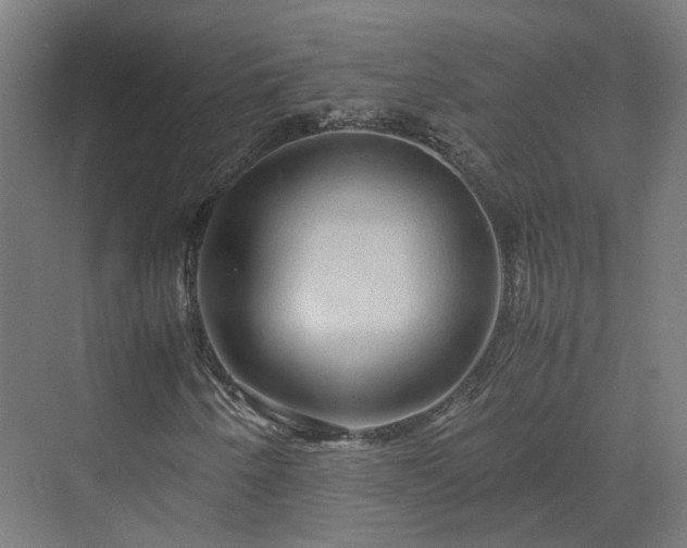 X0000070231250200606021338