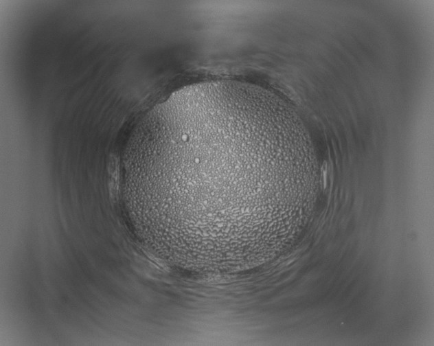 X0000070231251200606021338