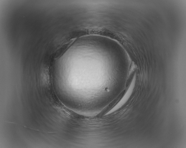 X0000070231252200606021338