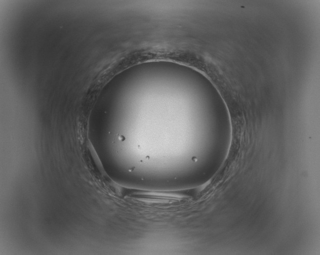 X0000070231253200606021338