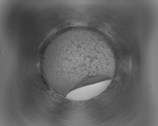 X0000070231254200606021338