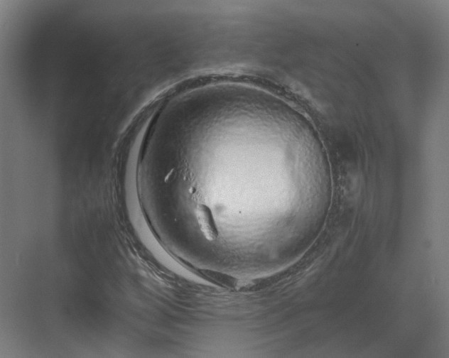 X0000070231256200606021338