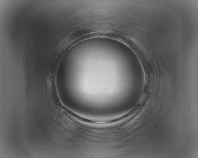 X0000070231257200606021338