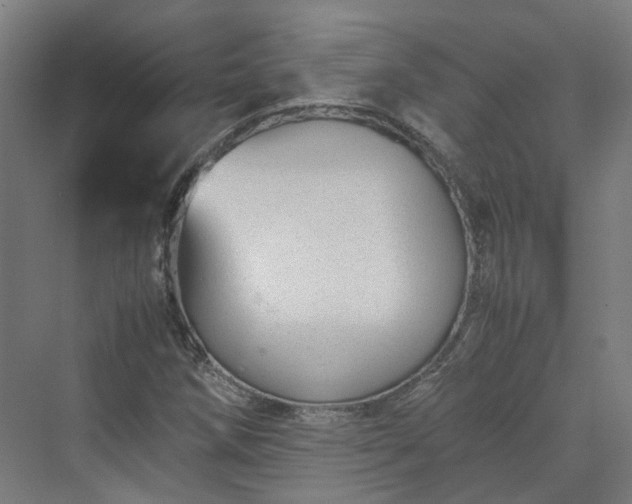 X0000070231258200606021338