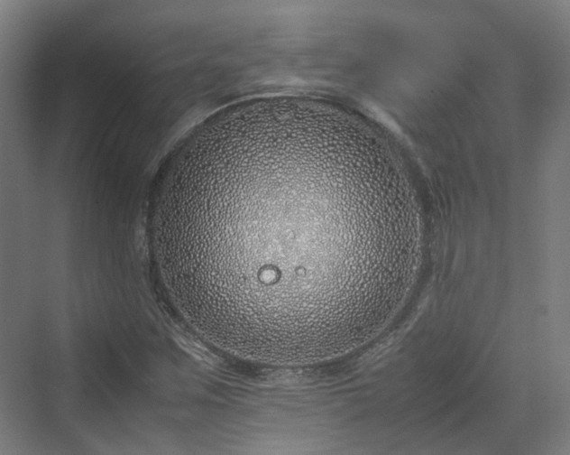 X0000070231259200606021338