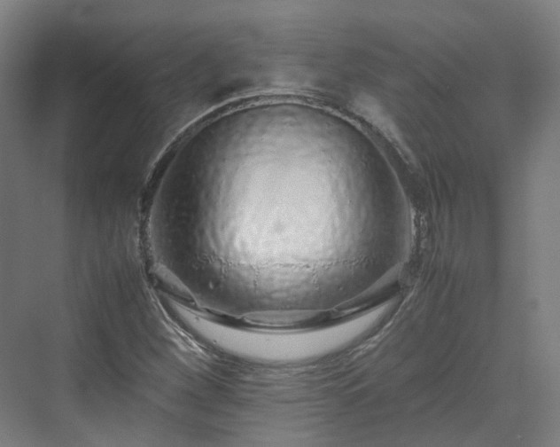 X0000070231260200606021338