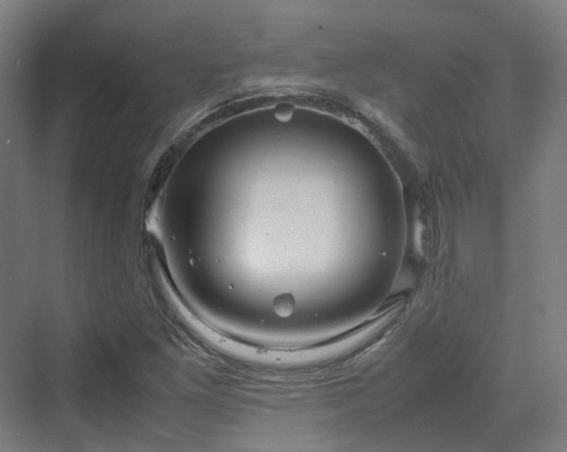 X0000070231261200606021338