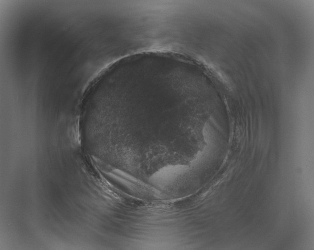 X0000070231262200606021338