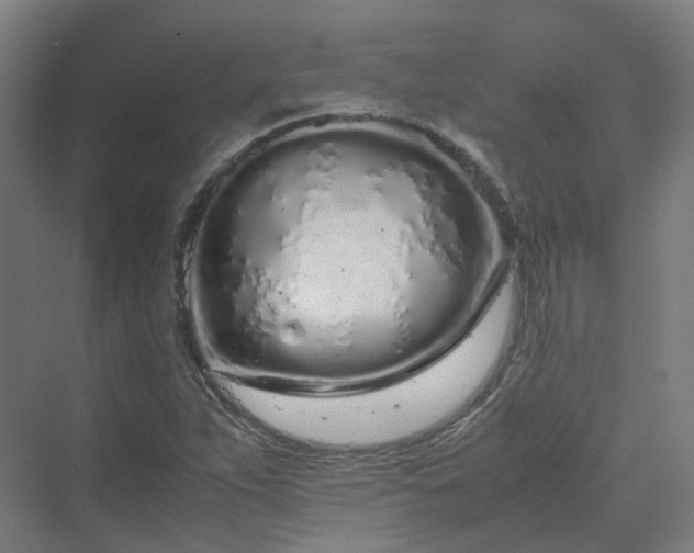 X0000070231263200606021338