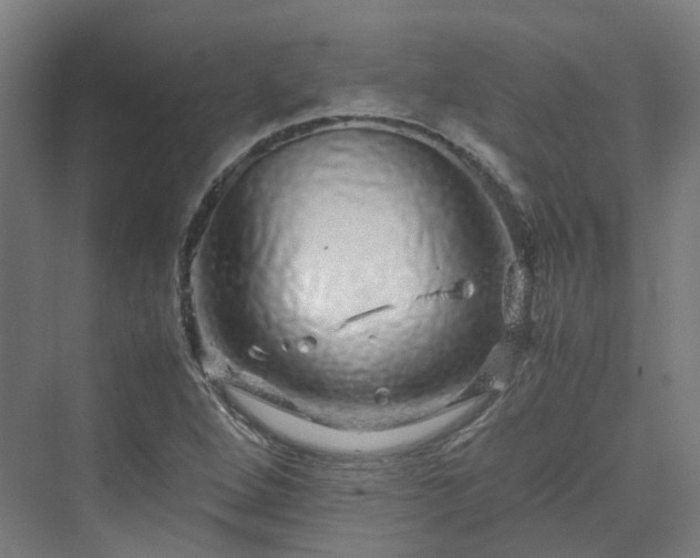 X0000070231264200606021338