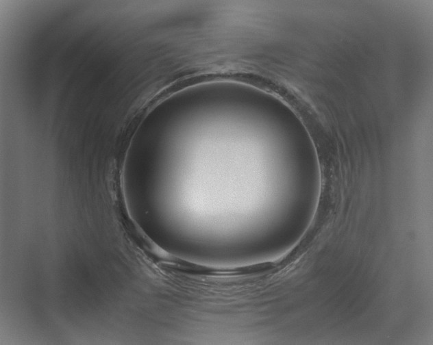 X0000070231265200606021338