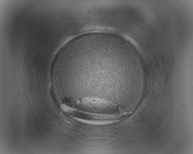 X0000070231267200606021338